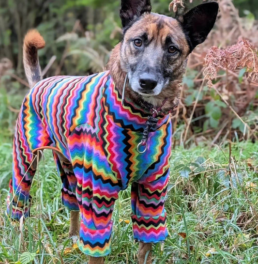Waterproof Fleece Suit in Bright Zig Zag Print Design Also Available as a Jumper or Coat