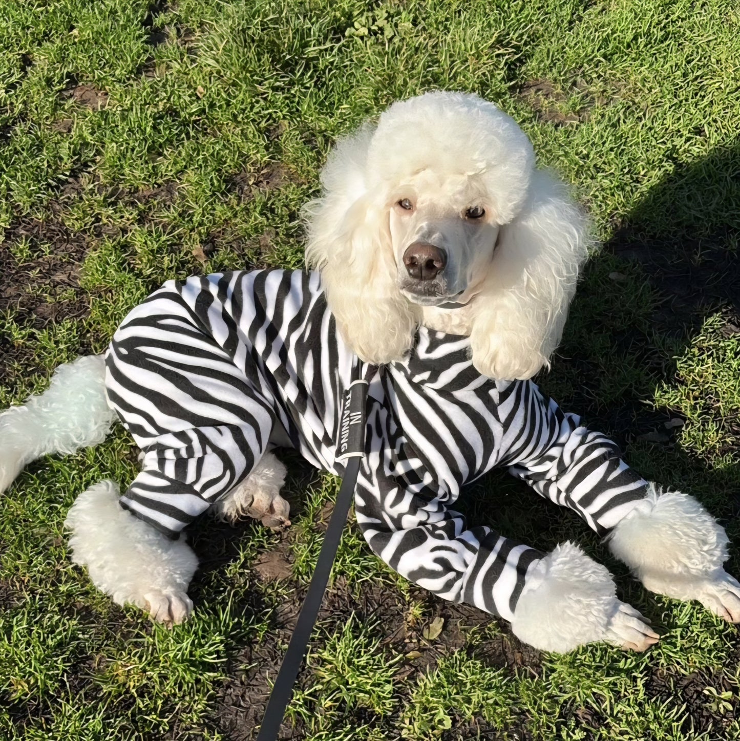 Waterproof Fleece Suit in Zebra Print Design Also Available as a Jumper or  Coat