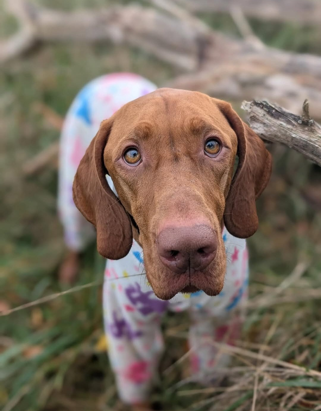 Waterproof Fleece Suit in Rainbow Unicorn Design Also Available as a Jumper or Coat