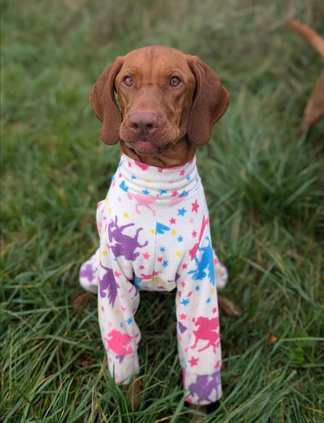 Waterproof Fleece Suit in Rainbow Unicorn Design Also Available as a Jumper or Coat