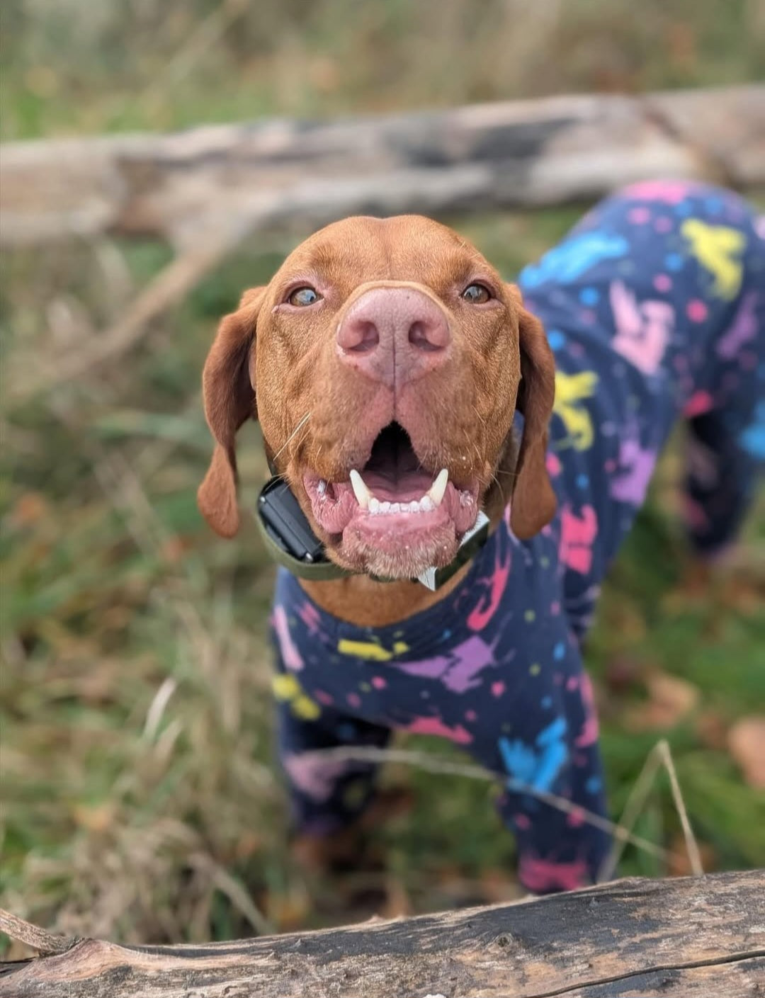 Waterproof Fleece Suit in Blue Rainbow Unicorn Design Also Available as a Jumper or Coat