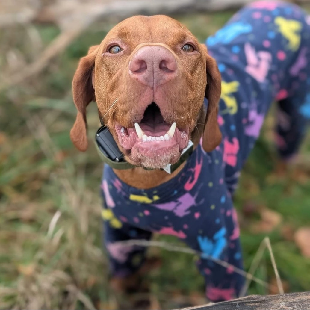 Waterproof Fleece Suit in Blue Rainbow Unicorn Print Design Also Available as a Jumper or Coat