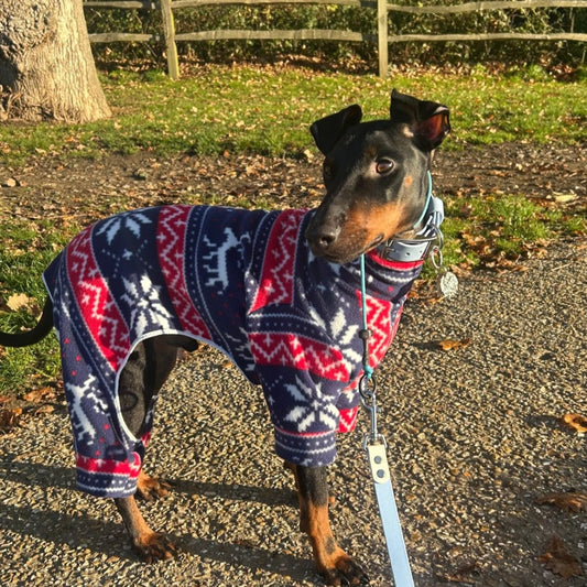 Waterproof Fleece Suit in Christmas Reindeer Print Design Also Available as a Jumper or Coat