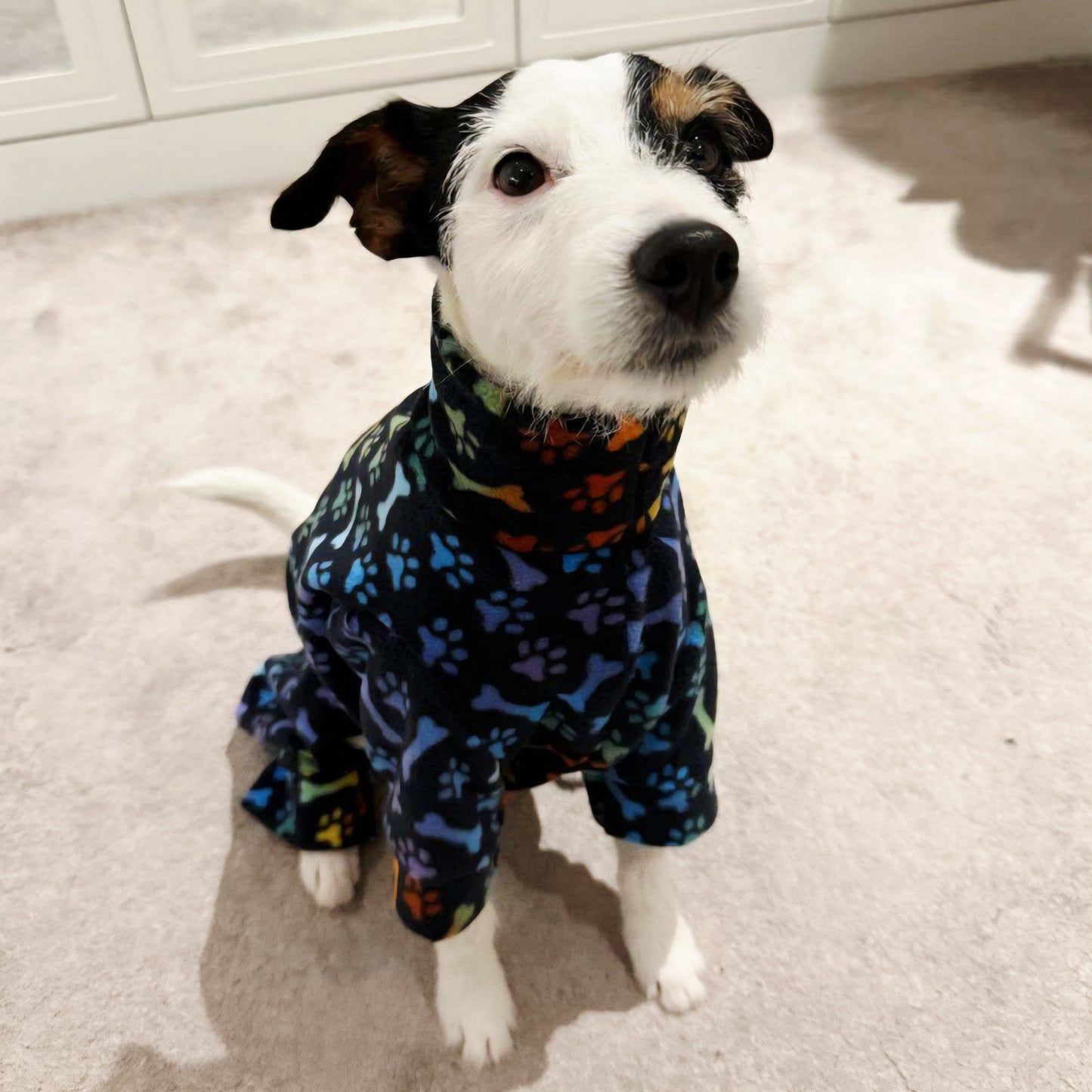 Waterproof Fleece Suit in Black Rainbow Paws & Bones Print Design Also Available as a Jumper or Coat
