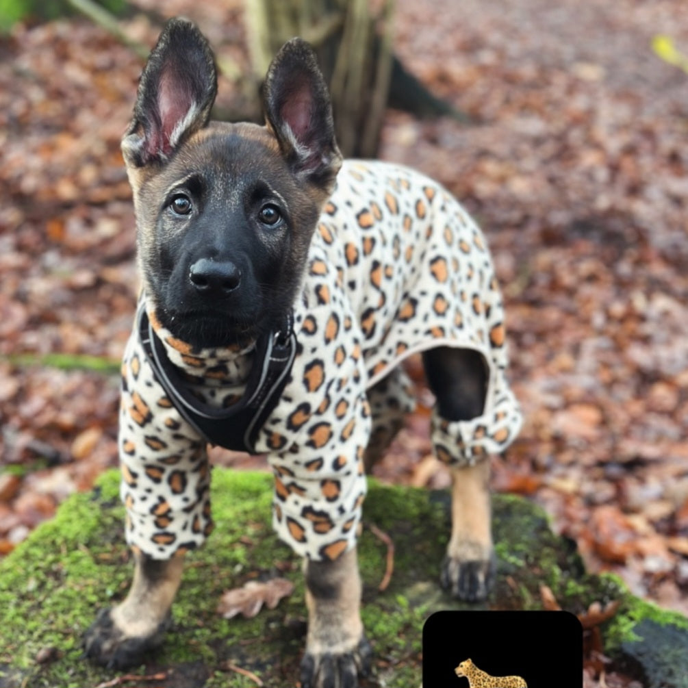 Waterproof Fleece Suit in Leopard Print Design Also Available as a Jumper or  Coat