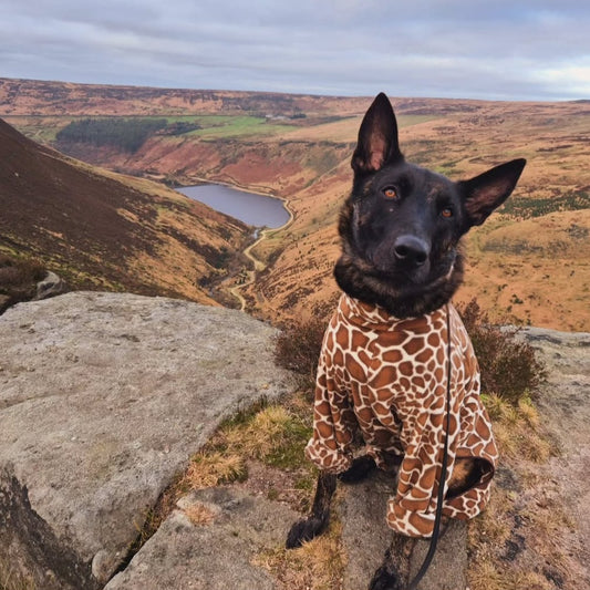 Waterproof Fleece Suit in Giraffe Print Design Also Available as a Jumper or Coat