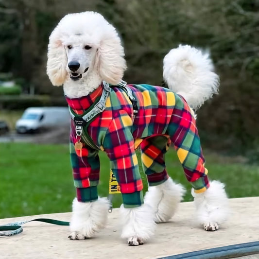 Waterproof Fleece Suit in Bright Tartan Print Design Also Available as a Jumper Tankie or Coat
