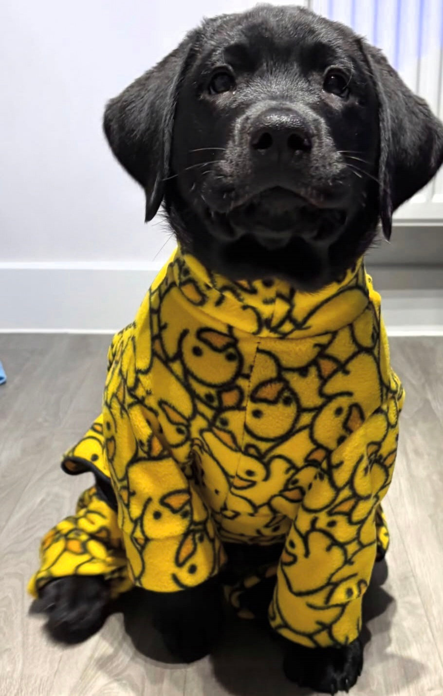 Waterproof Fleece Suit in Yellow Rubber Duck Print Design Also Available as a Jumper or Coat