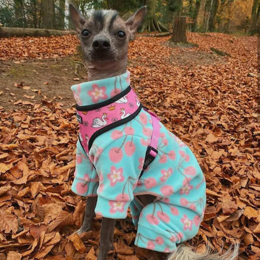 Waterproof Fleece Suit in Cherry Blossom Print Design Also Available as a Jumper  Tankie or Coat